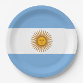 Flagge Argentiniens Pappteller (Vorderseite)