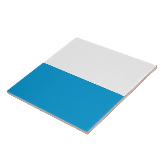 Flagge Bayerns (deutscher Staat) Fliese (Seite)