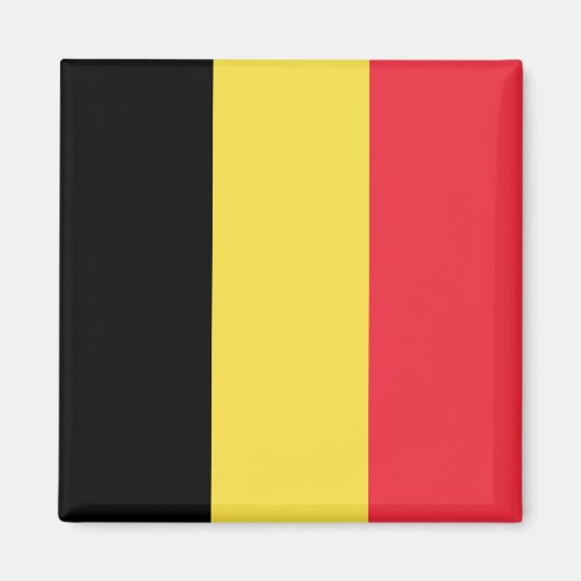 Flagge Belgien Tricolore Magnet (Vorne)
