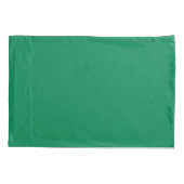 Flagge Benins (Afrika) Kissenbezug (Rückseite-Links)