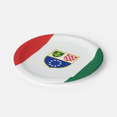 Flagge Bosnien und Herzegowina Pappteller (Schrägansicht)