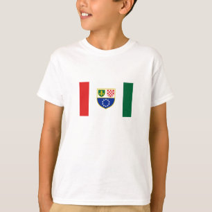 Flagge Bosnien und Herzegowina T-Shirt