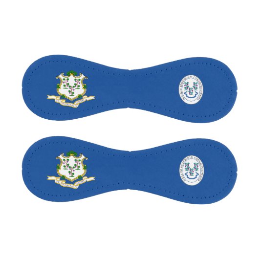 Flagge Connecticut Baseball (Paneele)