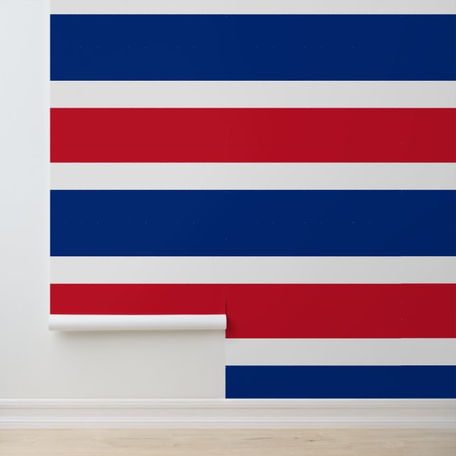 Flagge Costa Ricas Tapete (Anwendung)