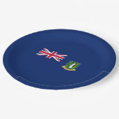Flagge der Britischen Jungfrau (BVI) Pappteller (Schrägansicht)