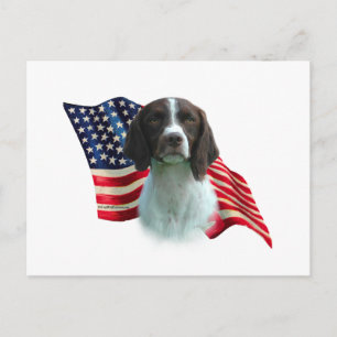 Flagge der Brittany Spaniel Postkarte