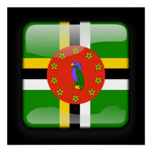 Flagge der Dominikanischen Republik Poster