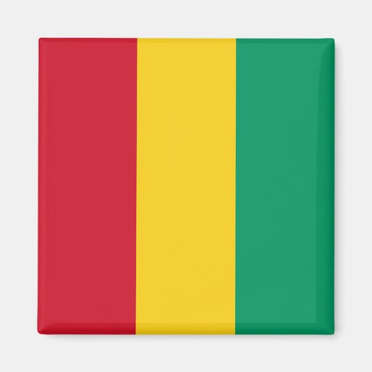Flagge der Guinea (afrikanisches Land) Magnet (Vorne)