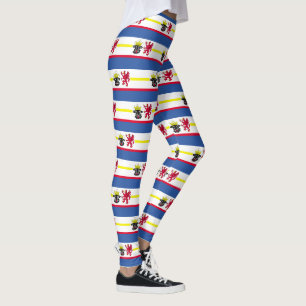 Flagge der Leggings in Mecklenburg-Western Pommern