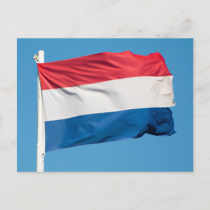 Flagge der Niederlande Postkarte
