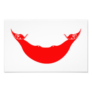 Flagge der Osterinsel Fotodruck