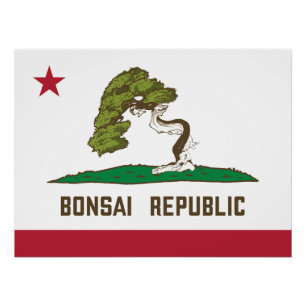 Flagge der Republik Bonsai Poster