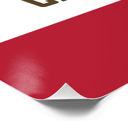 Flagge der Republik Capybara Poster (Ecke)