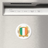 Flagge der Republik Irland Schild Magnet (In Situ (Geschirrspüler))