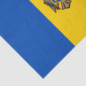 Flagge der Republik Moldau Seidenpapier (Ausschnitt)