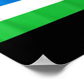 Flagge der Republik Molossia Poster (Ecke)