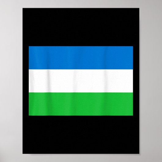 Flagge der Republik Molossia Poster (Vorne)