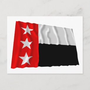 Flagge der Republik Rio Grande Postkarte