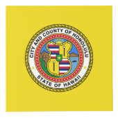 Flagge der Stadt Honolulu, Hawaii Cube Würfel (Vorderseite)