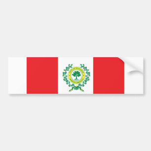 Flagge der Stadt Raleigh Autoaufkleber