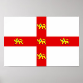 Flagge der Stadt York Poster