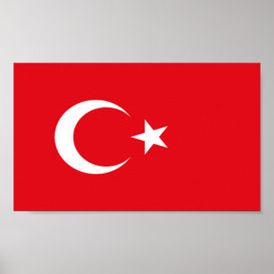 Flagge der Türkei Poster
