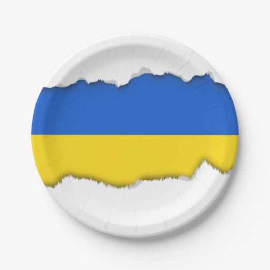 Flagge der Ukraine Pappteller (Vorderseite)
