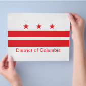 Flagge des Bezirks Columbia Flyer (Hand)