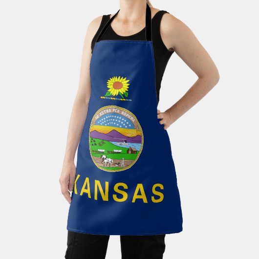 Flagge des Bundesstaates Kansas Schürze (InSitu)