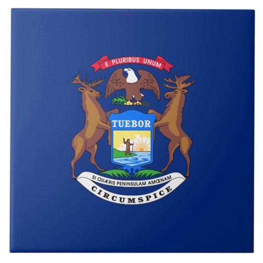 Flagge des Bundesstaates Michigan Fliese (Vorderseite)