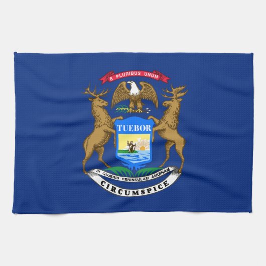 Flagge des Bundesstaates Michigan Geschirrtuch (Horizontal)
