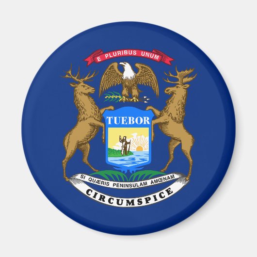 Flagge des Bundesstaates Michigan Magnet (Vorne)