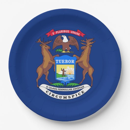 Flagge des Bundesstaates Michigan Pappteller (Vorderseite)