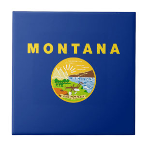 Flagge des Bundesstaates Montana Fliese