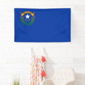 Flagge des Bundesstaates Nevada Banner (Insitu)