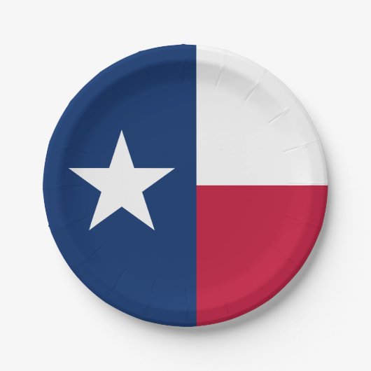 Flagge des Bundesstaates Texas Pappteller (Vorderseite)