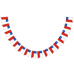 Flagge des Chilen
