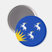 Flagge des Merionethshire Magnet (Vorderseite/Rückseite)