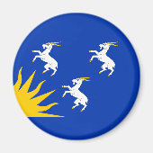 Flagge des Merionethshire Magnet (Vorne)