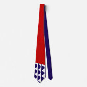 Flagge des Moines (Iowa City) Krawatte (Vorderseite)