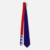 Flagge des Moines (Iowa City) Krawatte (Rückseite)