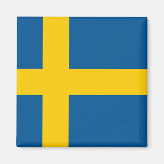 Flagge des schwedischen Magnet