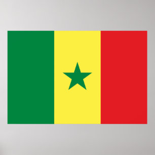 Flagge des Senegal Poster