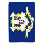 Flagge des Staates Connecticut Magnet (Vertikal)