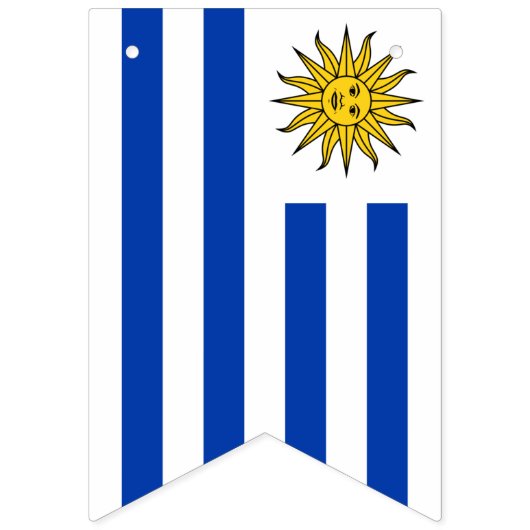 Flagge des Uruguays (Zweite Fahne)