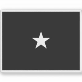 Flagge eines Brigadegeneral der U.S. Space Force Aufkleber