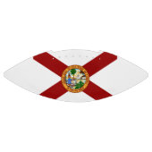 Flagge Floridas Football (Panel)
