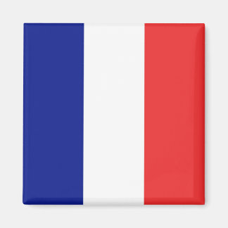 Flagge Frankreichs Tricolore Magnet