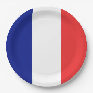 Flagge Frankreichs Tricolore Pappteller
