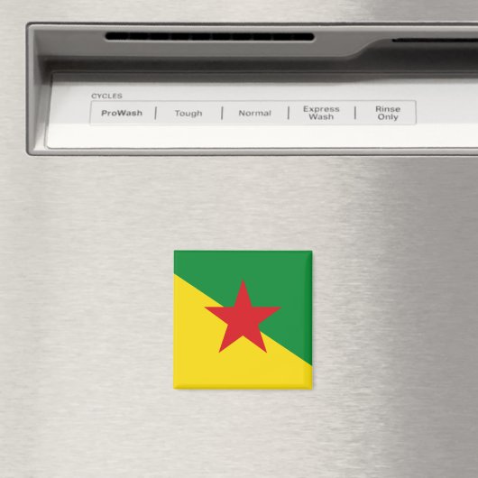 Flagge Französisch-Guayana Magnet (In Situ (Geschirrspüler))